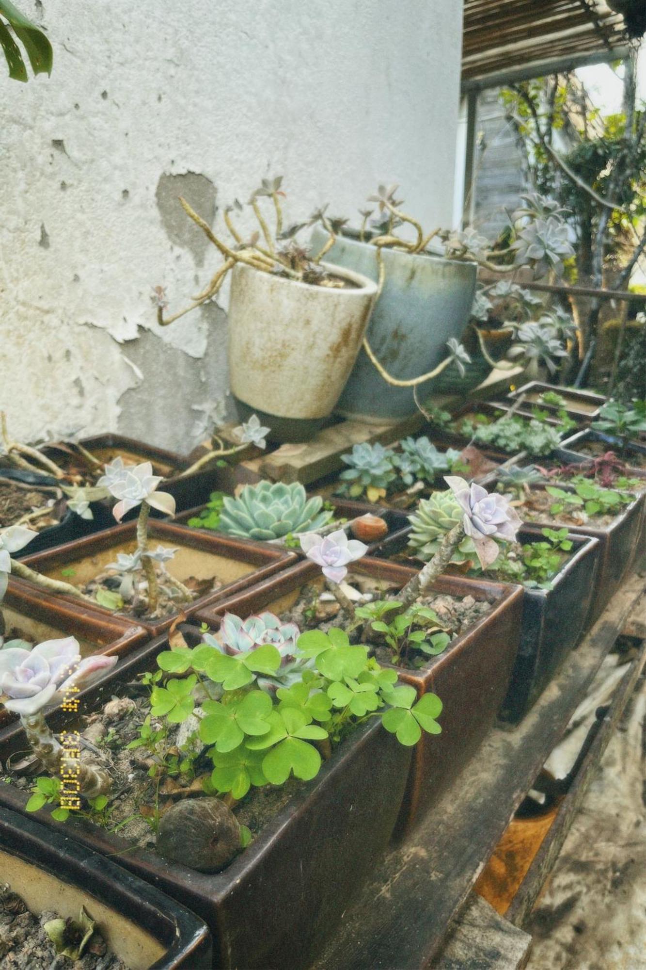 Nap Da Lat 아파트 외부 사진