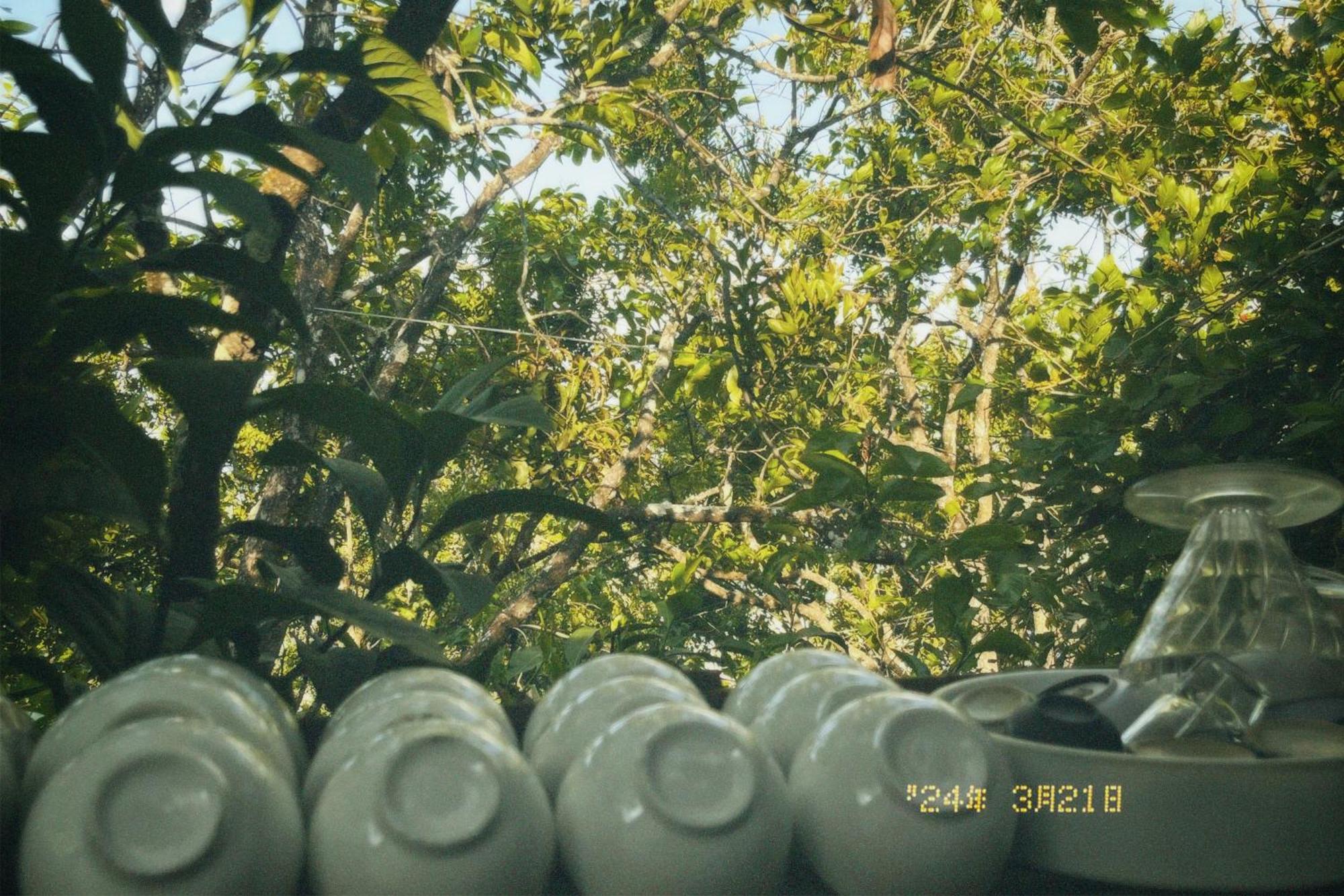 Nap Da Lat 아파트 외부 사진