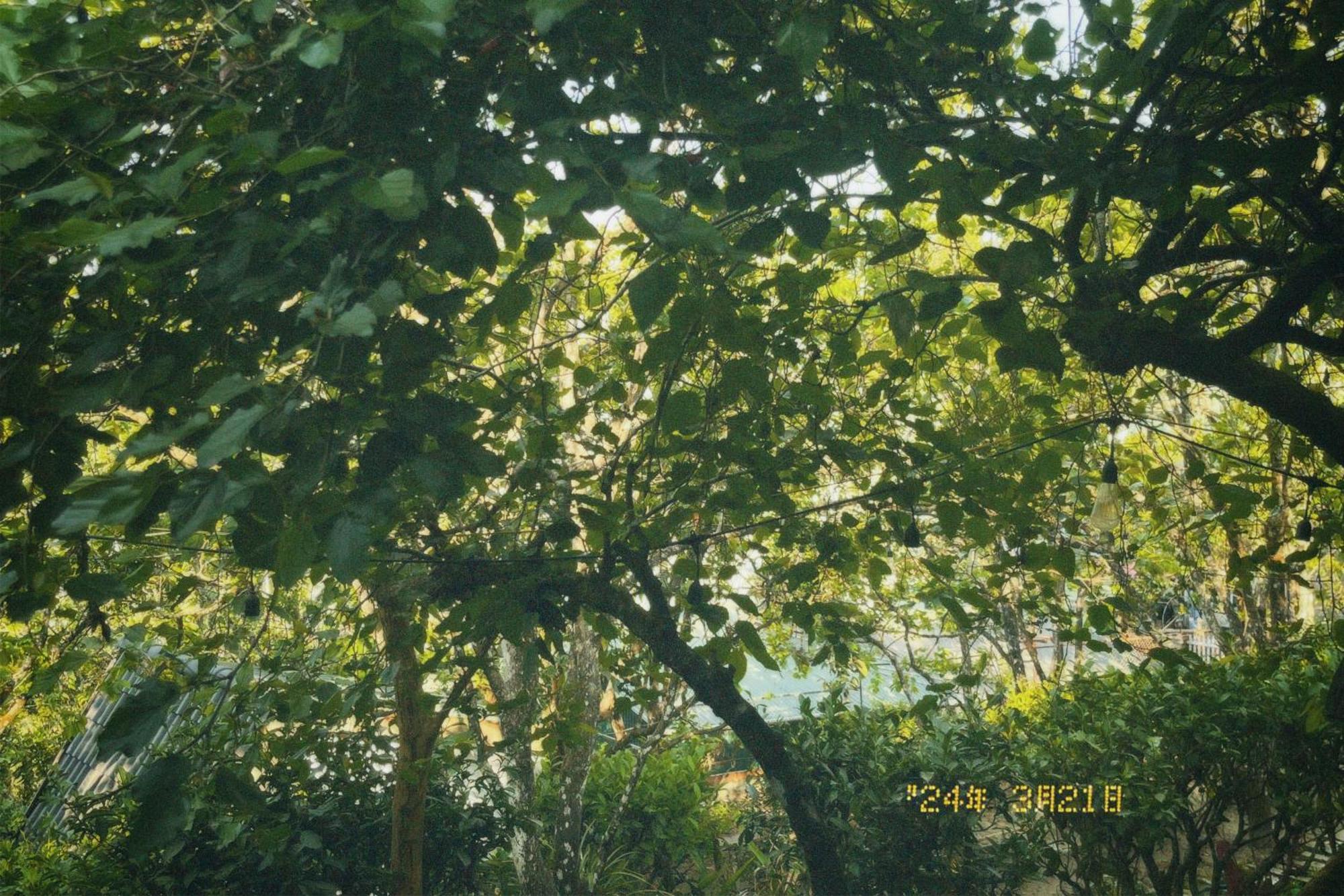 Nap Da Lat 아파트 외부 사진